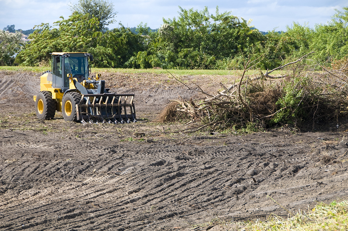 Land Clearing & Site Preparation Service Affordable Tree Service