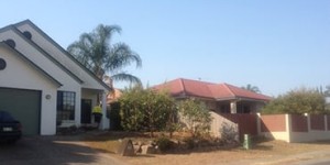 Affordable Tree Service Brisbane