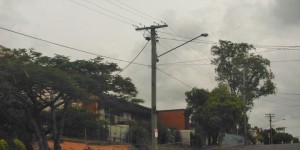We prune tree's to protect them from powerlines