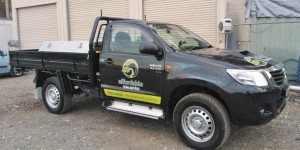 Affordable Tree Service Brisbane - Ute