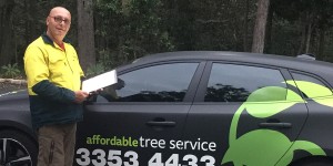 This is Wayne from Affordable Tree Service Brisbane