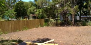 Affordable Tree Service Brisbane