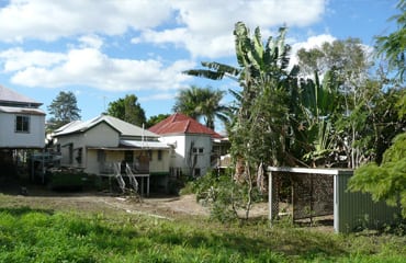 Affordable Tree Service Brisbane