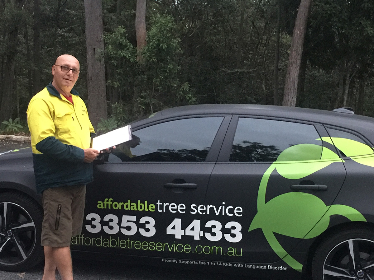 This is Wayne from Affordable Tree Service Brisbane